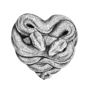 Dessin de 2 serpents qui forment un coeur