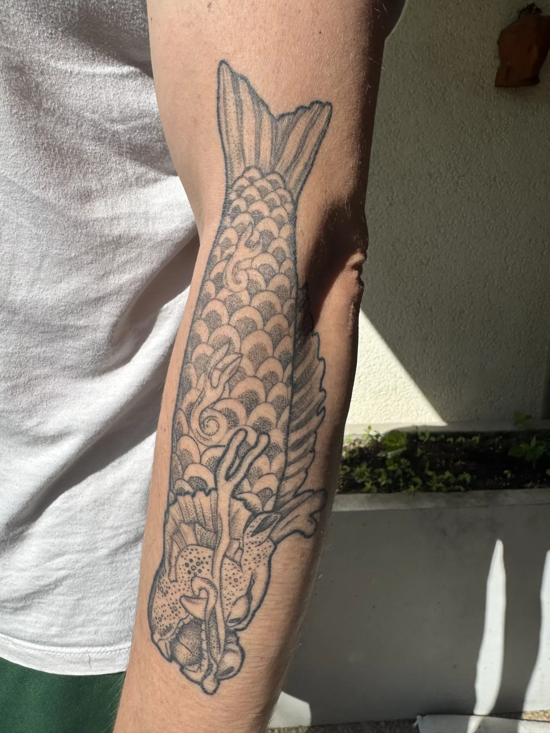 Photo d'un tatouage de poisson dragon cicatrisé