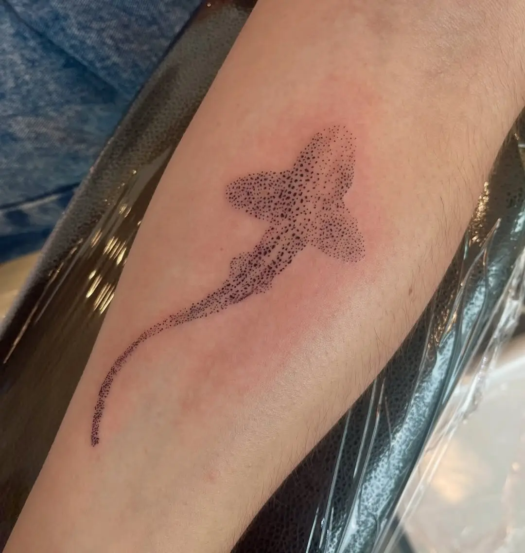 Photo d'un tatouage de requin
