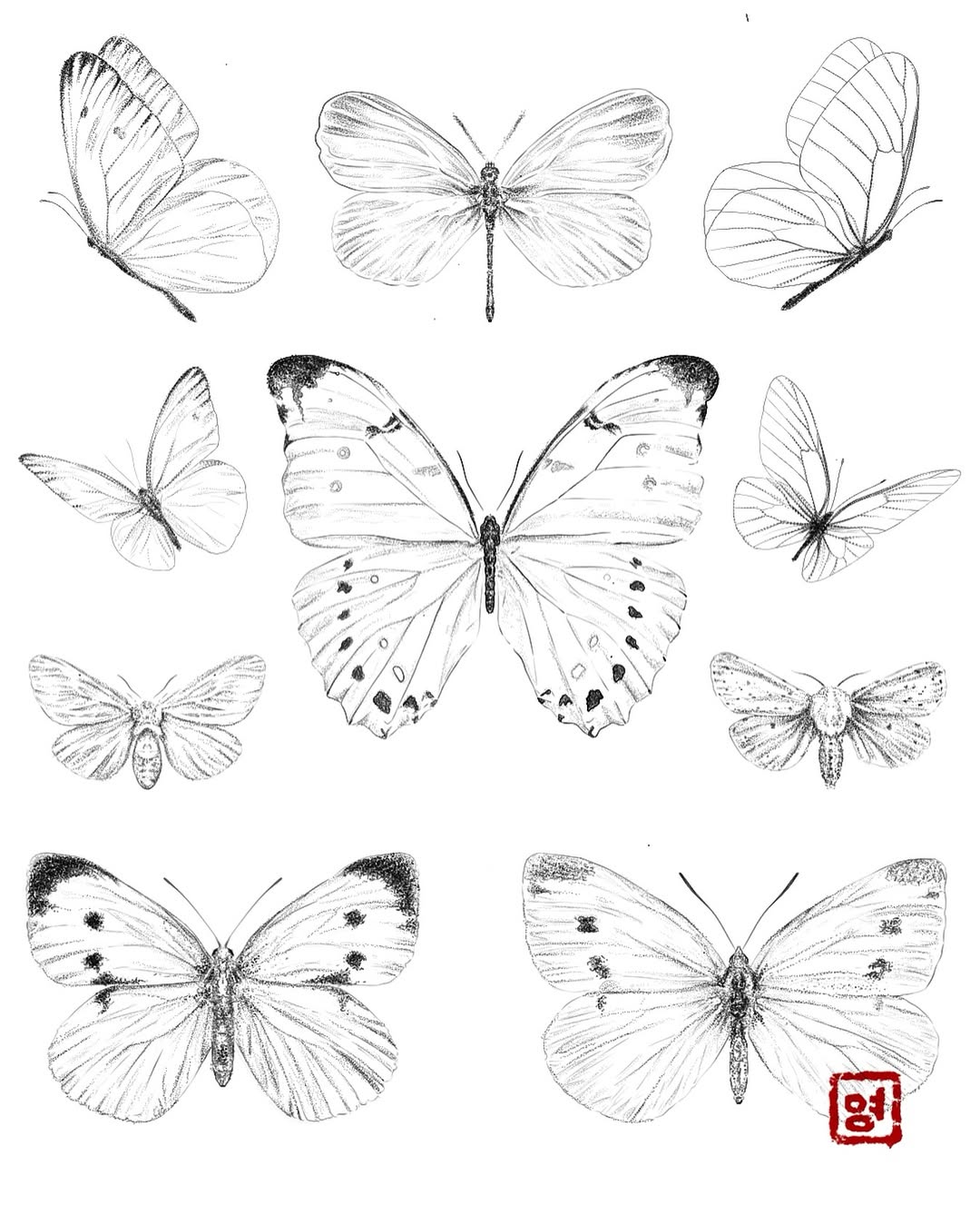 Dessins flashs papillons