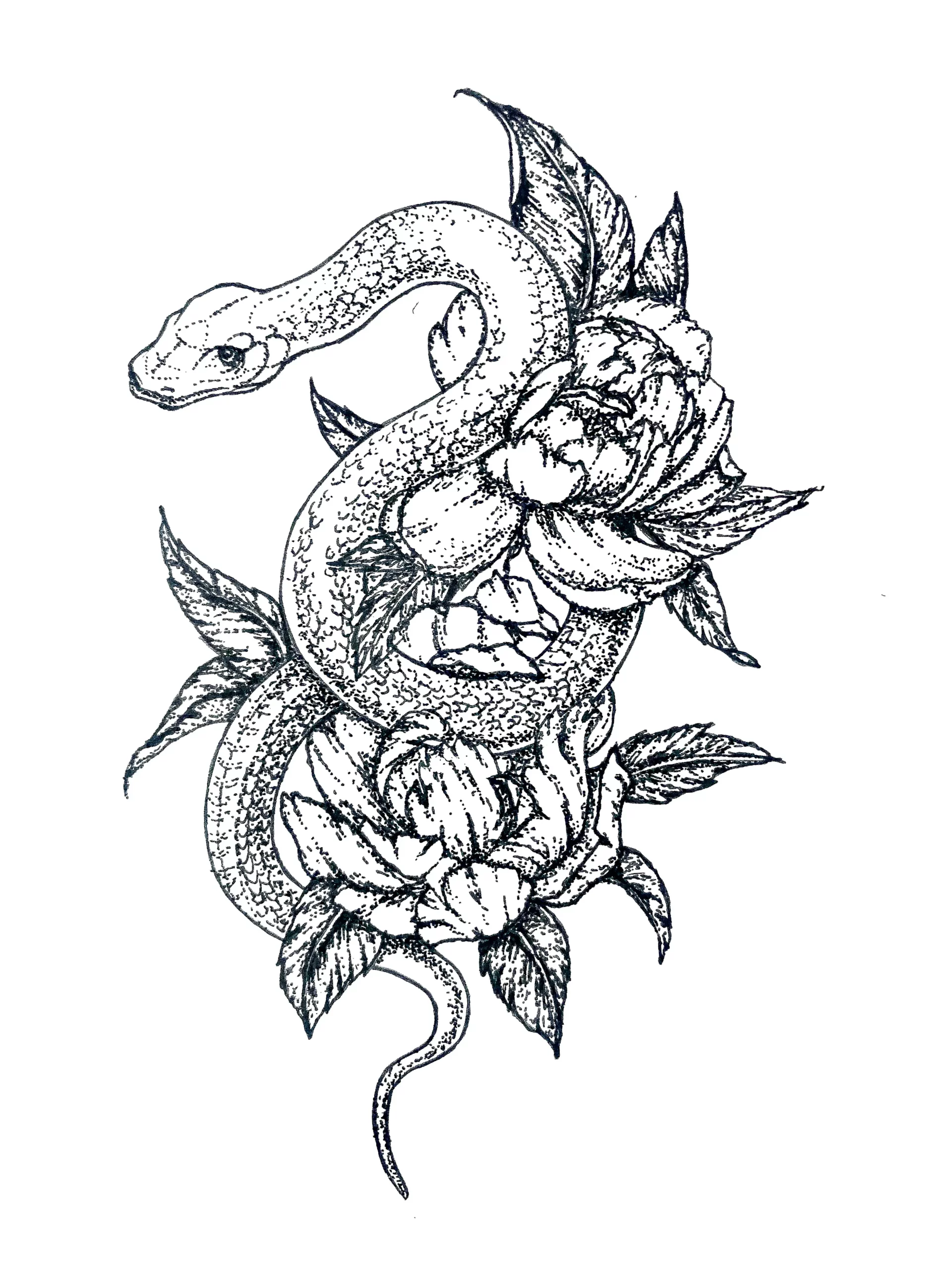 Dessin d'une fleur de lotus
