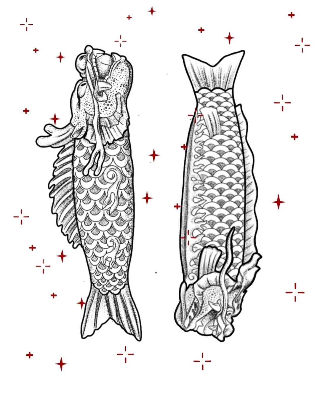 Dessin de dragons à corps de poissons