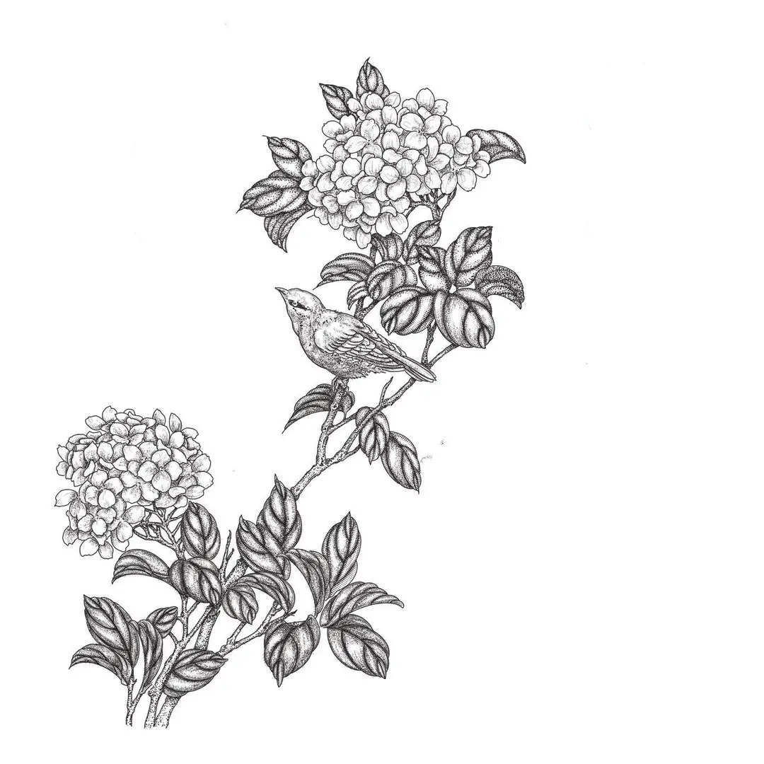 Dessin d'un hortensia avec un oiseau pour un tatouage sur un dos complet