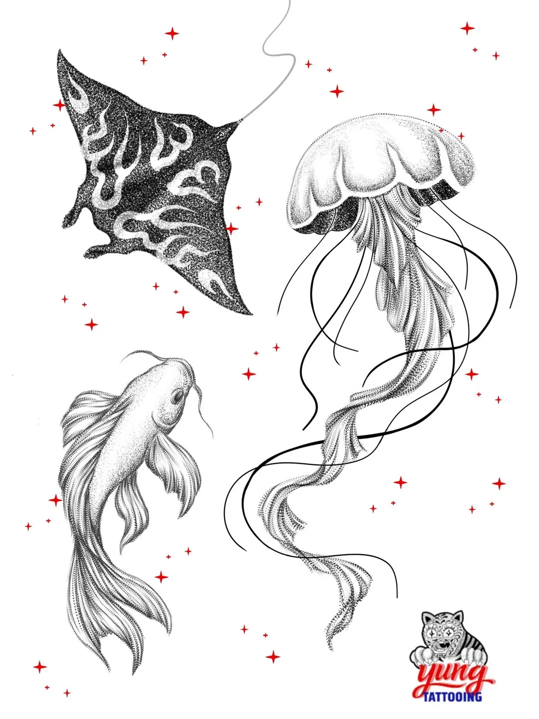 Flashs marins